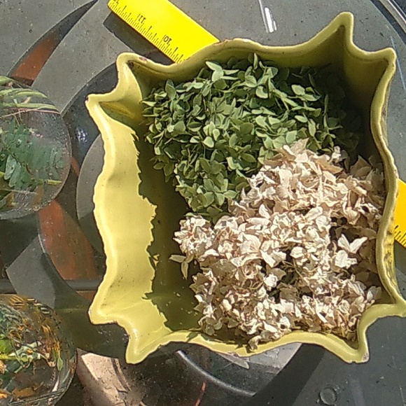 🏺Vintage Miramar of California Pottery CHARTREUSE MCM - Picture 3 of 11